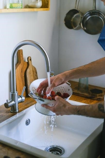 delta faucet manual pdf