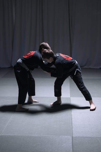 jiu jitsu gi size guide