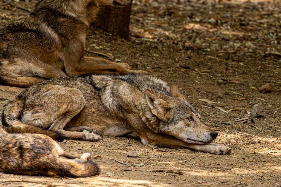 the wolves of langston pdf